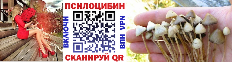 Псилоцибиновые грибы Magic Shrooms  OMG ONION  Буй 